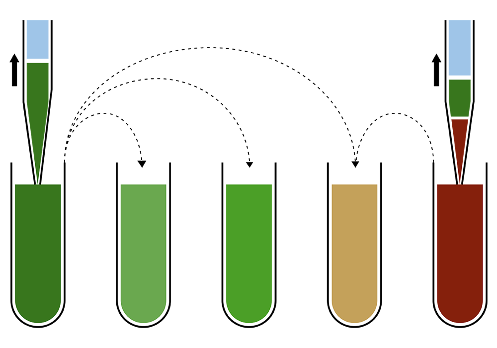 illustration showing one sample dispensed differently into multiple vials